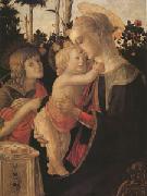 Sandro Botticelli The Virgin and child with John the Baptist (mk05) oil painting on canvas